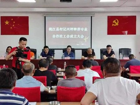 工会赋能 助力乡村振兴-桃江县村记兴坪种养专业合作社工会成立