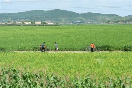 探秘朝鲜农村女人的真实生活