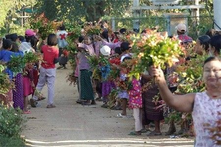 缅甸共产党发起的缅甸版“秋收起义”得到当地居民的夹道欢迎