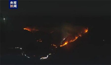 四川雅江县发生一起森林火灾